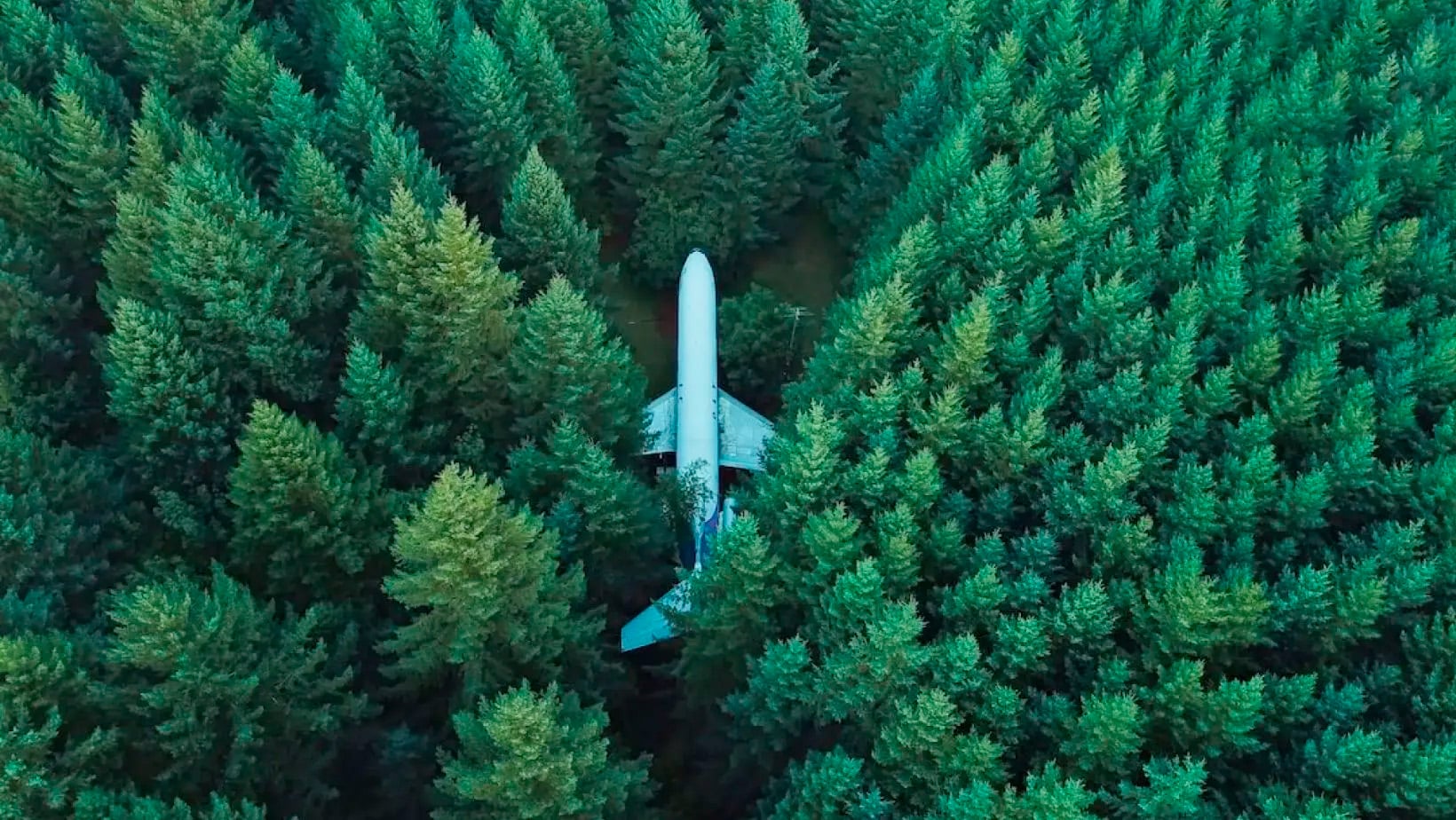 Há um Boeing 727 estacionado nesta floresta (e você pode vê-lo no Google Maps)